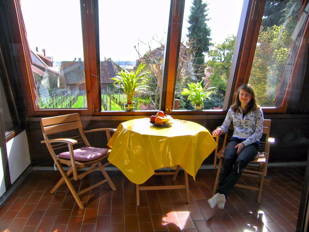 Haus Gnaedinger Διαμέρισμα Hagnau Εξωτερικό φωτογραφία